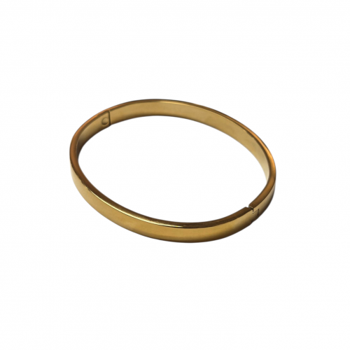 Merx Bangle - Gold 6mm 720-146-1